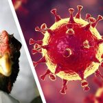 Птичий грипп. О симптомах и профилактике.