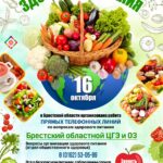 Международный день здорового питания