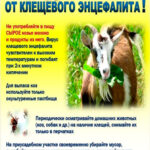 Осторожно! Клещи!