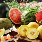 О реализации бахчевых культур