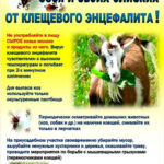 22 февраля — Всемирный день борьбы с энцефалитом