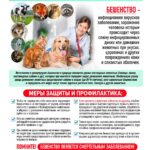 Осторожно! Бешенство
