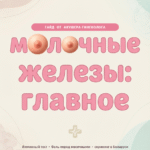 Доктор Коноплицкая: Молочные железы: Главное
