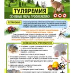 Туляремия. Основные меры профилактики