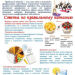 16 октября — Международный день здорового питания